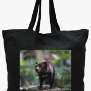 WEO Biodegradable Tote Bag