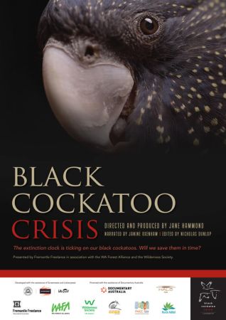 Black Cockatoo Crisis