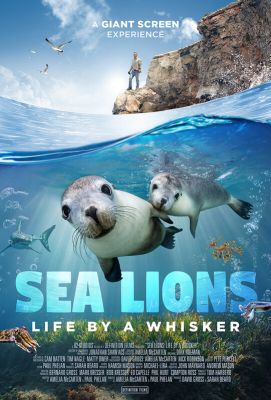 Sea Lions Life by a whisker