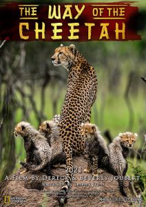 The Way of the Cheetahs