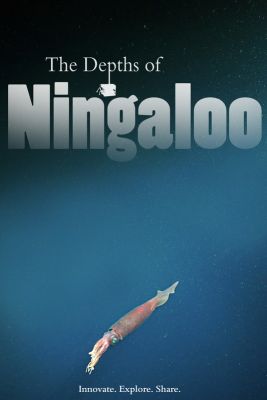The depth of Ningaloo