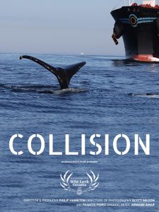 collision-500