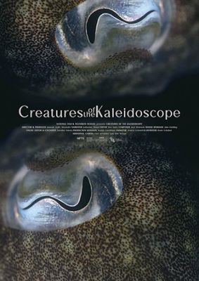 kaleidoscope-450